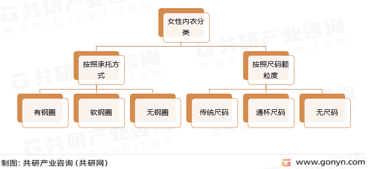 女性内衣分类