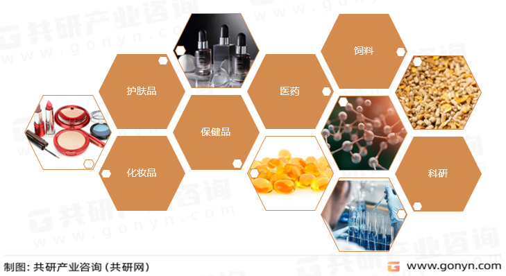 胎盘蛋白主要应用领域