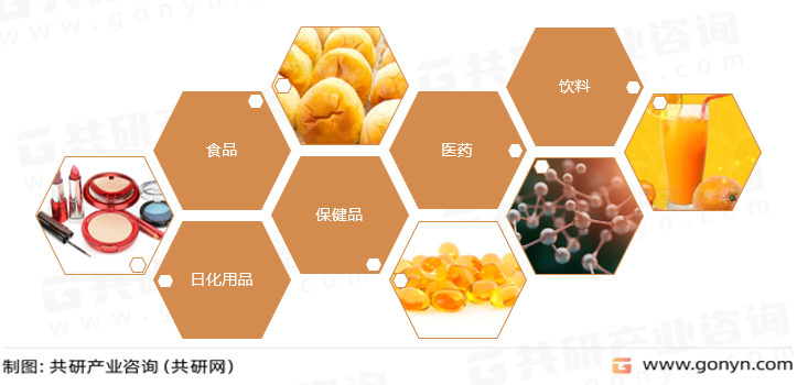 鹰嘴豆肽主要应用领域