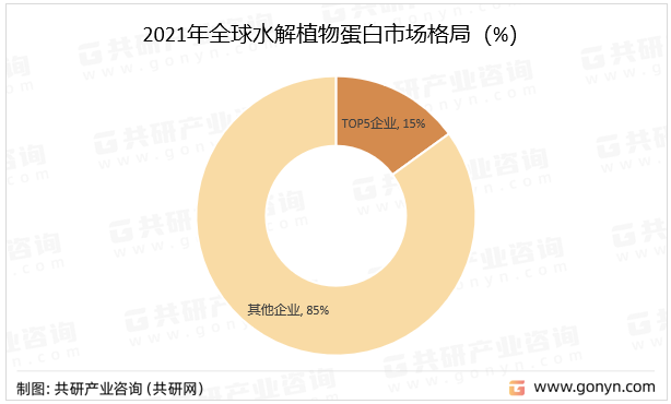 2021年全球水解植物蛋白市场格局（%）