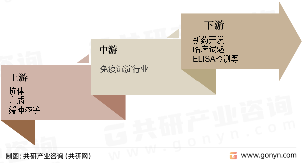 免疫沉淀行业产业链