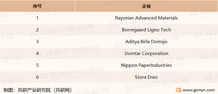 全球木质素市场主要参与者
