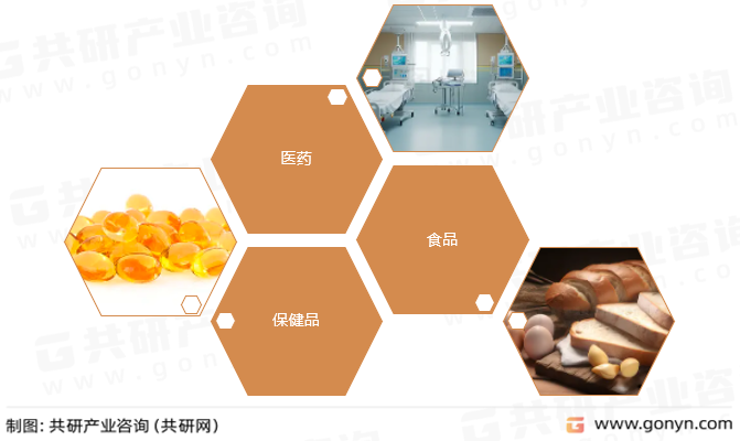 磷脂酰丝氨酸主要应用领域
