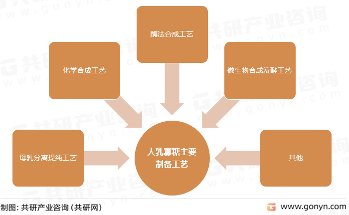 人乳寡糖主要制备工艺