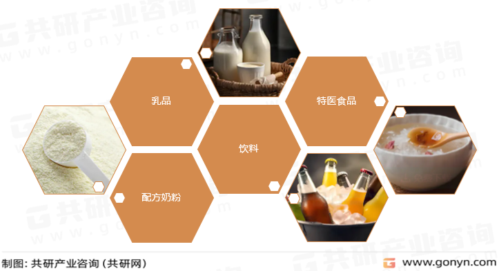 人乳寡糖主要应用领域