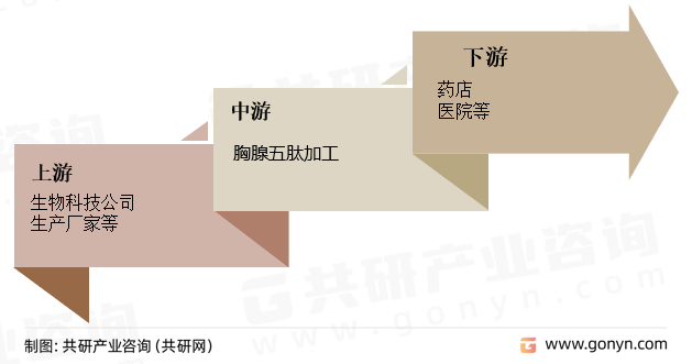 胸腺五肽产业链
