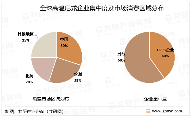 全球高温尼龙企业集中度及市场消费区域分布