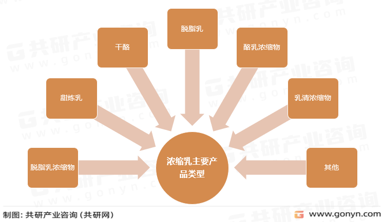 浓缩乳主要产品类型