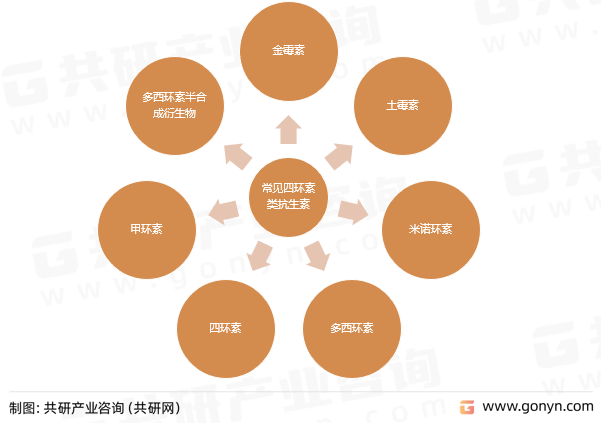 常见四环素类抗生素