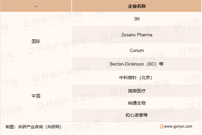 全球微针给药系统市场竞争格局