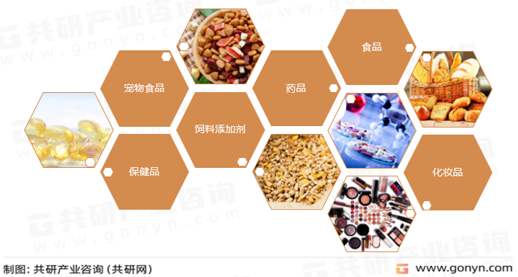 维生素B7主要应用领域