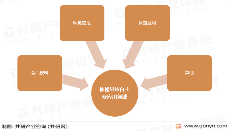 神秘果蛋白主要应用领域