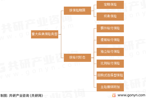 重大疾病保险类型