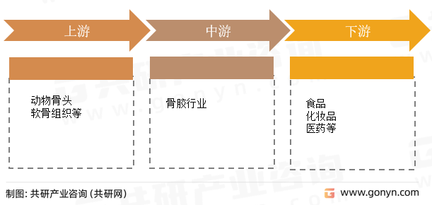 骨胶行业产业链