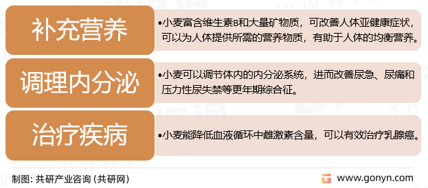 硬粒小麦的功效和作用