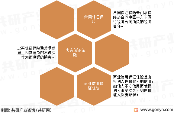 保证保险分类
