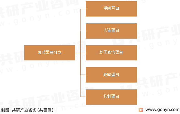 替代蛋白分类