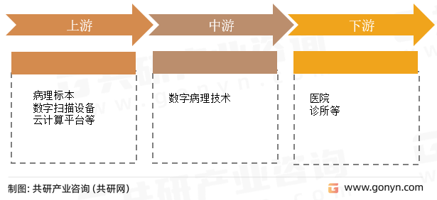 数字病理行业产业链
