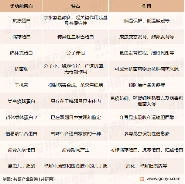 昆虫蛋白类功能成分