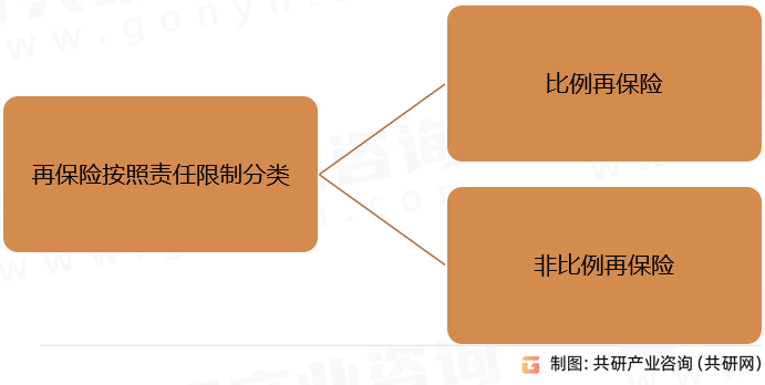 再保险按照责任限制分类