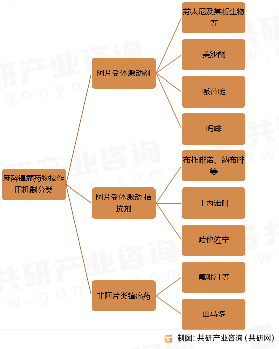 麻醉镇痛药物按作用机制分类
