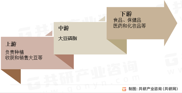 大豆磷脂产业链