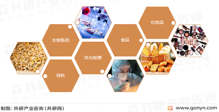 色素蛋白主要应用领域