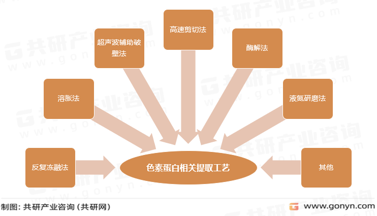 色素蛋白相关提取工艺