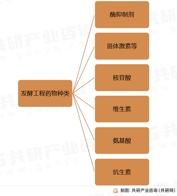 发酵工程药物种类