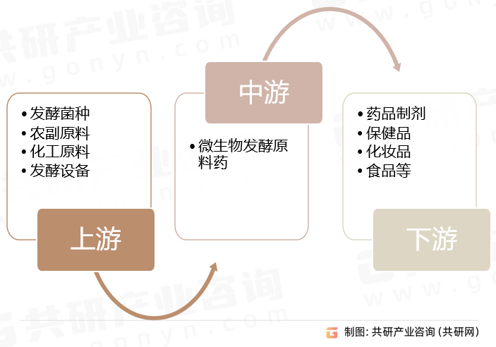 微生物发酵原料药行业产业链