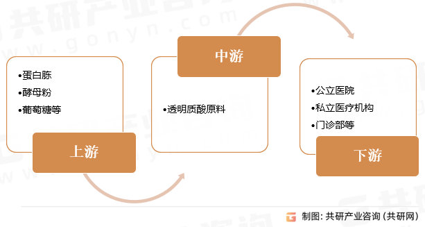 透明质酸原料产业链