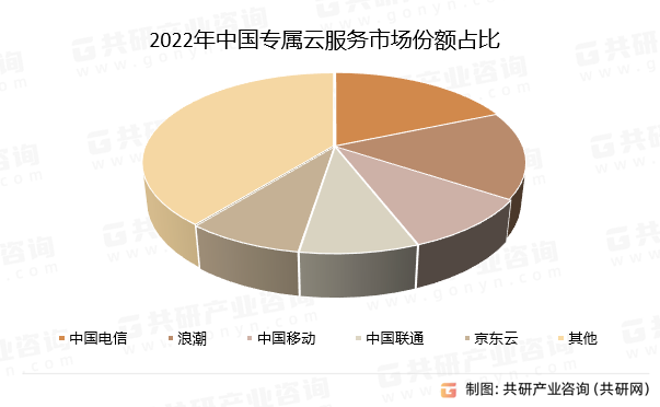 2022年中国专属云服务市场份额占比