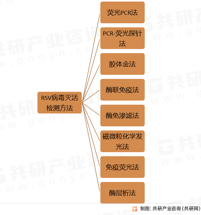 RSV病毒灭活检测方法