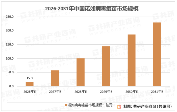 2026-2031年中国诺如病毒疫苗市场规模