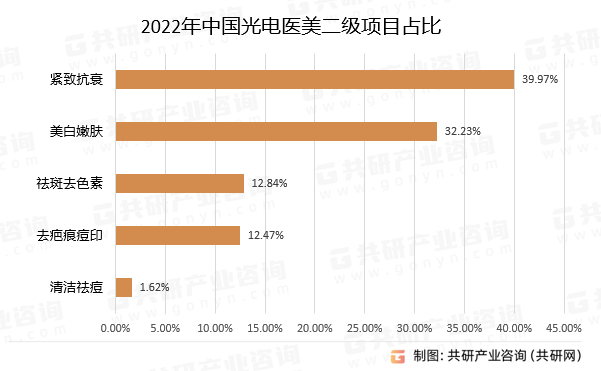 2022年中国光电医美二级项目占比