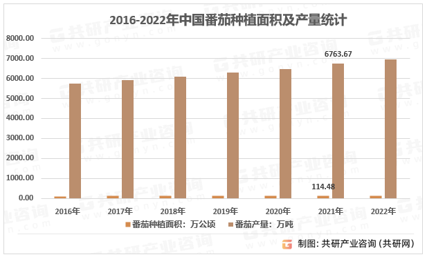 2016-2022年中国番茄种植面积及产量统计