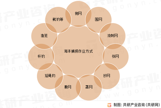 海洋捕捞作业方式