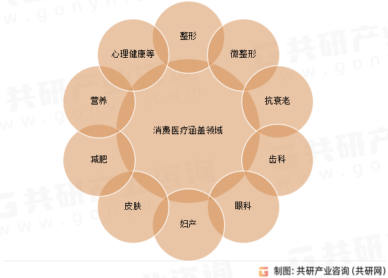 消费医疗涵盖领域