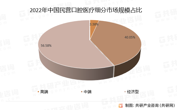 2022年中国民营口腔医疗细分市场规模占比