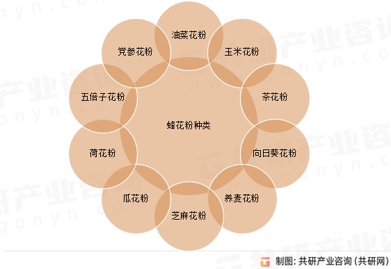 蜂花粉种类