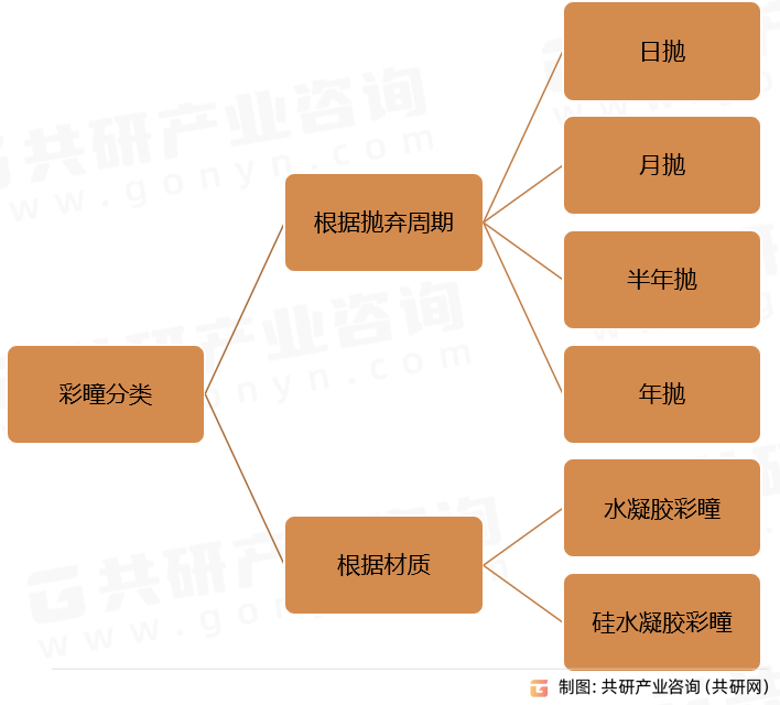 彩瞳分类