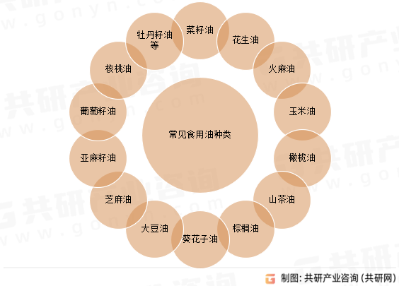常见食用油种类