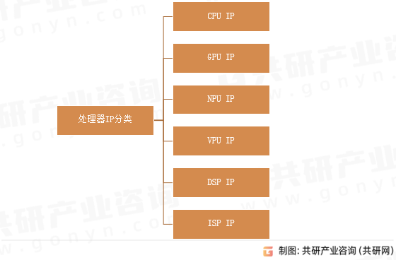 处理器IP分类