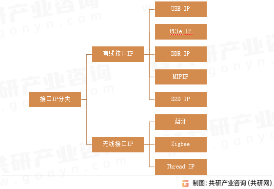 接口IP分类