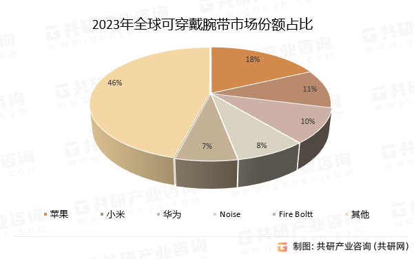 2023年全球可穿戴腕带市场份额占比