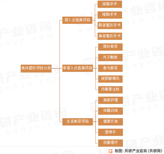 美体塑形项目分类