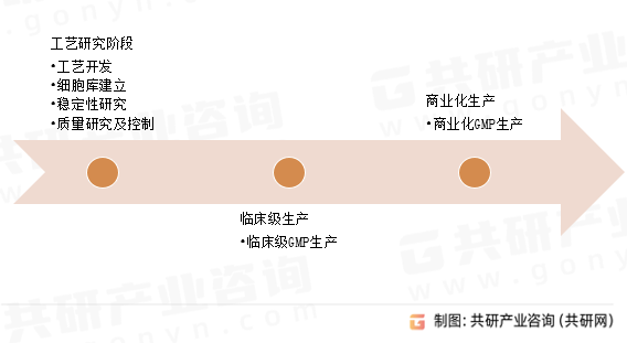 基因载体CDMO服务内容分析