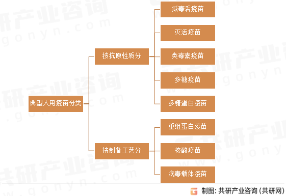 世界卫生组织（WHO）将人用疫苗定义为：含有免疫原性物质，能够诱导机体产生特异性、主动和保护性宿主免疫，能够预防传染性疾病的一类异源性药学产品，包括预防性疫苗和治疗性疫苗。典型人用疫苗分类