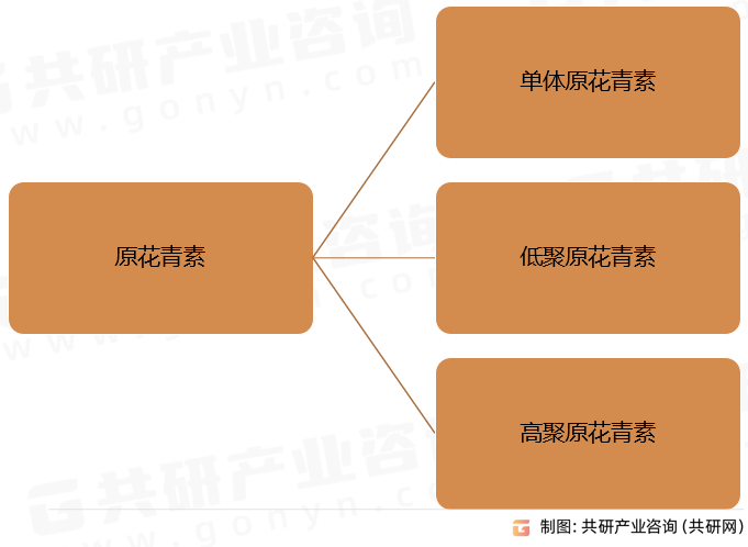 原花青素分类