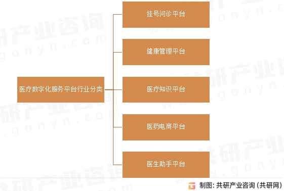 医疗数字化服务平台行业分类